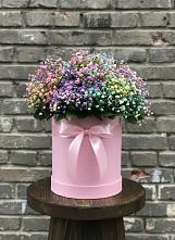 Цветочная композиция из Гипсофила и Розы в шляпной коробке в Семеновке
