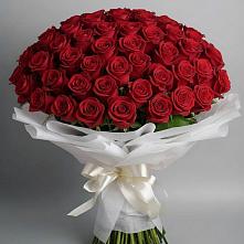 Букет 101 Красная роза Блэк Мэджик #REPLACE_PRED# Семеновке
