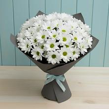 Букет цветов из:  Хризантемы #REPLACE_PRED# Семеновке
