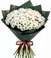 Букет цветов из:  Хризантемы #REPLACE_PRED# Семеновке