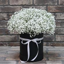 Цветочная композиция из Гипсофила в шляпной коробке #REPLACE_PRED# Семеновке