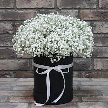 Цветочная композиция из Гипсофила в шляпной коробке в Семеновке