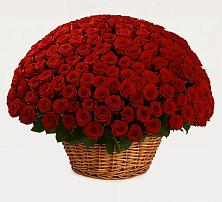 Премиум букет из: Розы в Семеновке